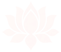 home lotus